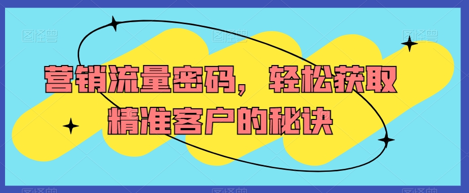 营销流量密码，轻松获取精准客户的秘诀-电脑资源自留地