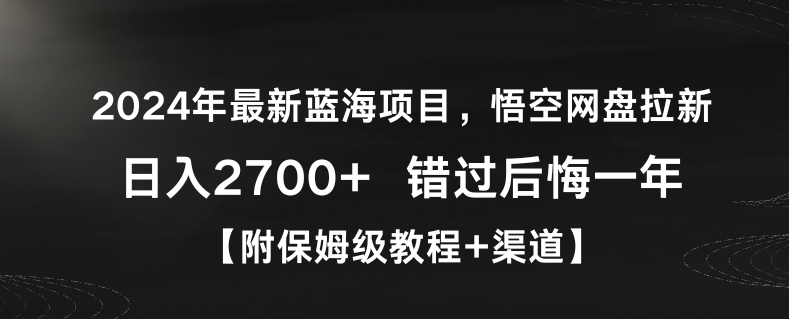 2024年最新蓝海项目，悟空网盘拉新，日入2700+错过后悔一年【附保姆级教程+渠道】【揭秘】-电脑资源自留地