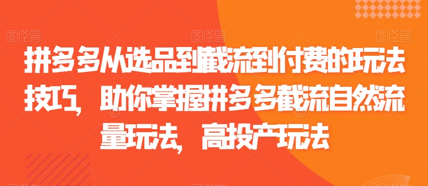 拼多多从选品到截流到付费的玩法技巧，助你掌握拼多多截流自然流量玩法，高投产玩法-电脑资源自留地