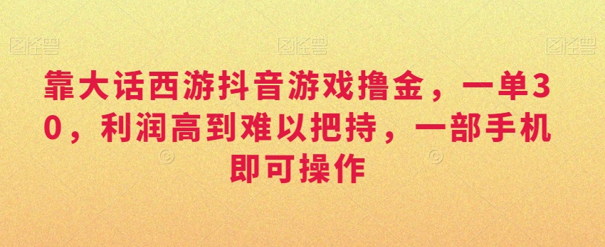 靠大话西游抖音游戏撸金，一单30，利润高到难以把持，一部手机即可操作，日入3000+【揭秘】-电脑资源自留地
