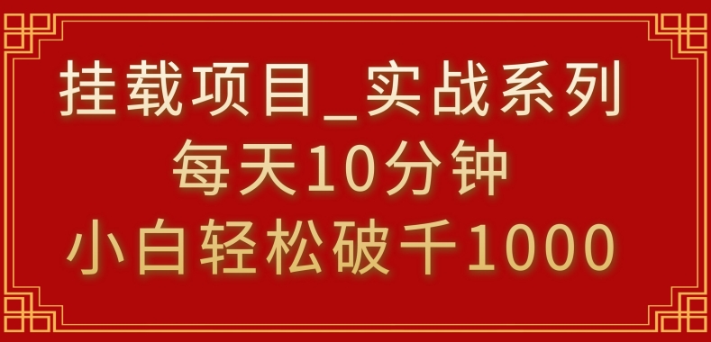 挂载项目，小白轻松破1000，每天10分钟，实战系列保姆级教程【揭秘】-电脑资源自留地