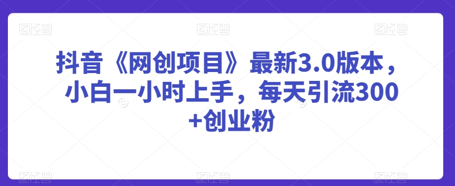 抖音《网创项目》最新3.0版本，小白一小时上手，每天引流300+创业粉【揭秘】-电脑资源自留地