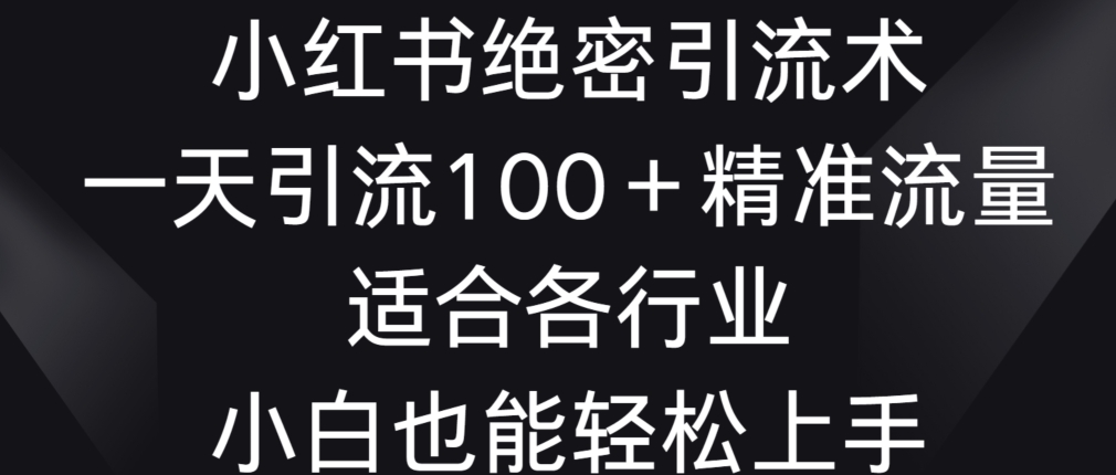 小红书绝密引流术，一天引流100+精准流量，适合各个行业，小白也能轻松上手【揭秘】-电脑资源自留地