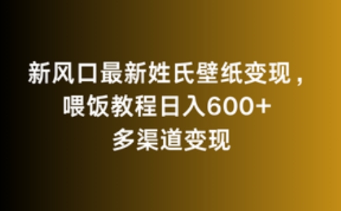 新风口最新姓氏壁纸变现，喂饭教程日入600+【揭秘】-电脑资源自留地