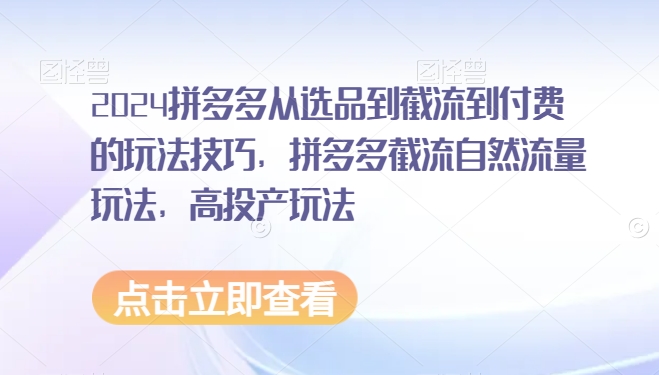 2024拼多多从选品到截流到付费的玩法技巧，拼多多截流自然流量玩法，高投产玩法-电脑资源自留地