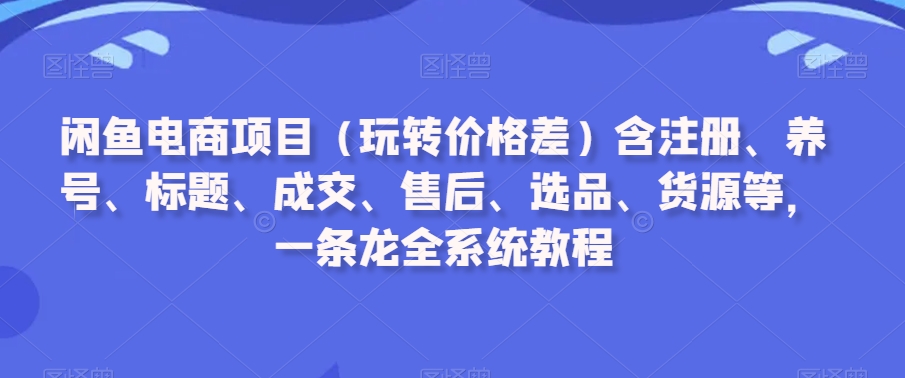 闲鱼电商项目（玩转价格差）含注册、养号、标题、成交、售后、选品、货源等，一条龙全系统教程-电脑资源自留地