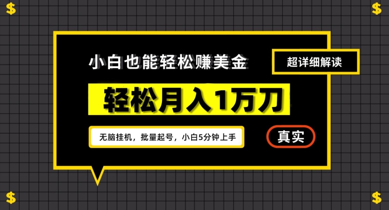 谷歌看广告撸美金2.0，无脑挂机，多号操作，月入1万刀【揭秘】-电脑资源自留地