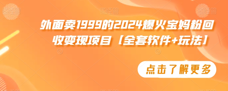 外面卖1999的2024爆火宝妈粉回收变现项目【全套软件+玩法】【揭秘】-电脑资源自留地