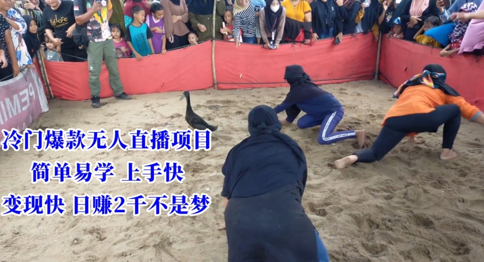 冷门爆款无人直播项目，简单易学上手快，变现快日赚2千不是梦【揭秘】-电脑资源自留地