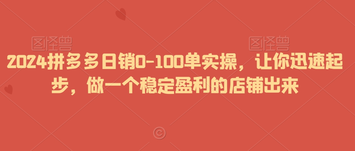 2024拼多多日销0-100单实操，让你迅速起步，做一个稳定盈利的店铺出来-电脑资源自留地