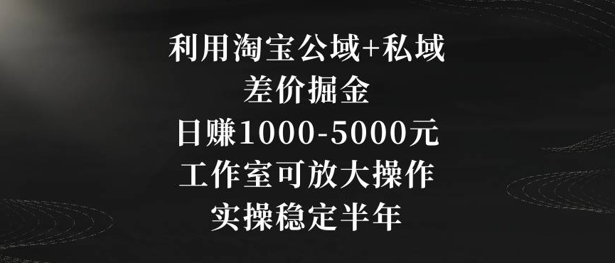 利用淘宝公域+私域差价掘金，日赚1000-5000元，工作室可放大操作，实操稳定半年【揭秘】-电脑资源自留地