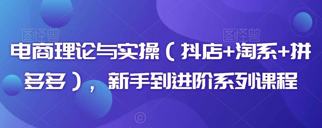 电商理论与实操（抖店+淘系+拼多多），新手到进阶系列课程-电脑资源自留地