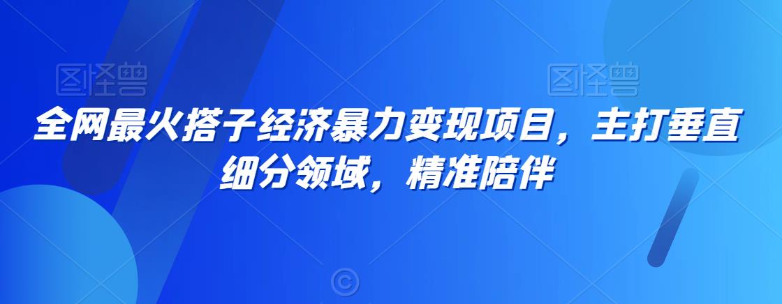 全网最火搭子经济暴力变现项目，主打垂直细分领域，精准陪伴【揭秘】-电脑资源自留地