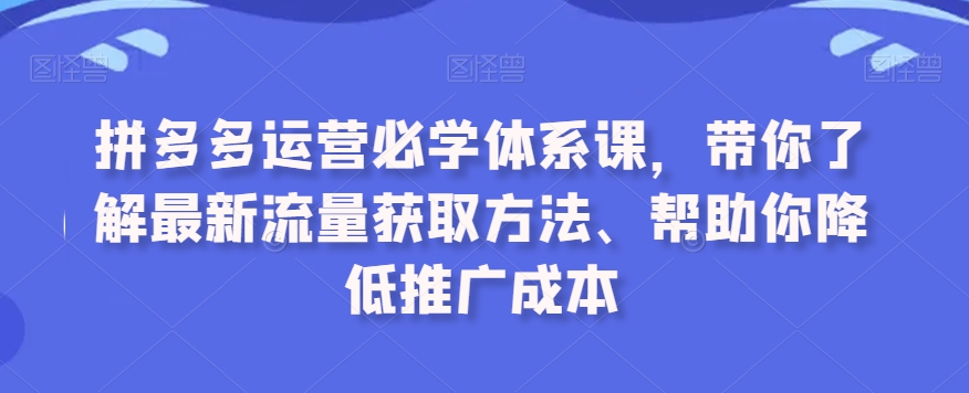 拼多多运营必学体系课，带你了解最新流量获取方法、帮助你降低推广成本-电脑资源自留地