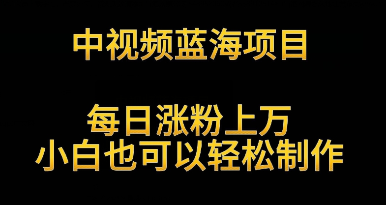 中视频蓝海项目，解读英雄人物生平，每日涨粉上万，小白也可以轻松制作，月入过万不是梦【揭秘】-电脑资源自留地