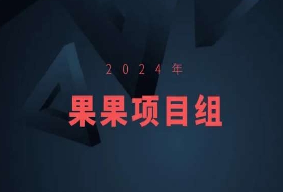 2024年果果项目组项目合集-果果最新项目-电脑资源自留地