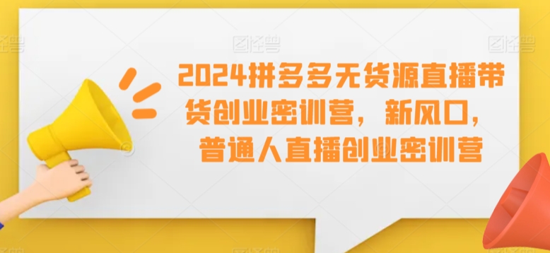 2024拼多多无货源直播带货创业密训营，新风口，普通人直播创业密训营-电脑资源自留地