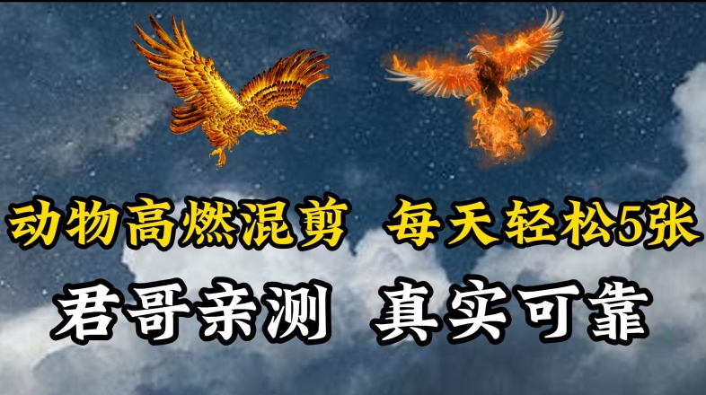 动物超燃混剪，每天轻松5张，剪辑简单大家爱看【揭秘】-电脑资源自留地