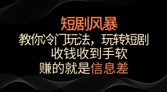 短剧风暴，教你冷门玩法，玩转短剧，收钱收到手软【揭秘】-电脑资源自留地