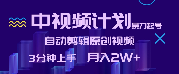 中视频计划暴力起号，自动剪辑原创视频，3分钟上手，月入2W+【揭秘】-电脑资源自留地