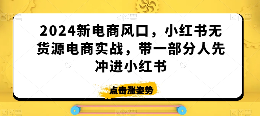 2024新电商风口，小红书无货源电商实战，带一部分人先冲进小红书-电脑资源自留地