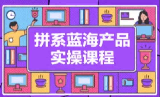 拼系冷门蓝海产品实操课程，从注册店铺到选品上架到流量维护环环相扣-电脑资源自留地