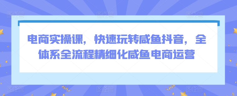 电商实操课，快速玩转咸鱼抖音，全体系全流程精细化咸鱼电商运营-电脑资源自留地