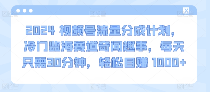 2024视频号流量分成计划，冷门监海赛道奇闻趣事，每天只需30分钟，轻松目赚 1000+【揭秘】-电脑资源自留地