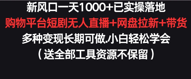 新风口一天1000+已实操落地购物平台短剧无人直播+网盘拉新+带货多种变现长期可做【揭秘】-电脑资源自留地