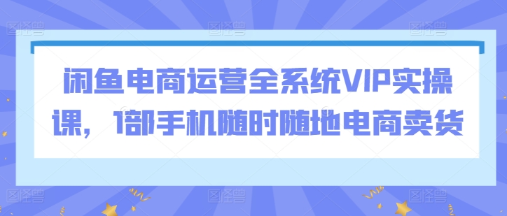 闲鱼电商运营全系统VIP实操课，1部手机随时随地电商卖货-电脑资源自留地