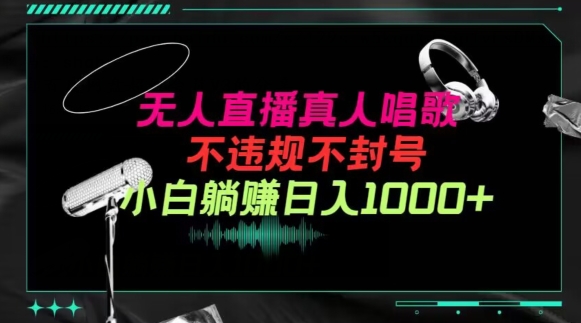 抖音24小时无人直播音乐，不违规，不封号纯撸音浪，小白实操当天日入1000+【揭秘】-电脑资源自留地