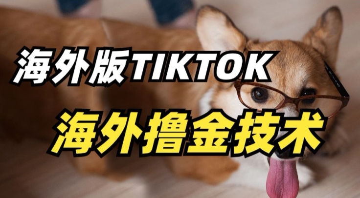 抖音海外版tiktok撸金技术，这个风口行业，赚钱真的不难【揭秘】-电脑资源自留地