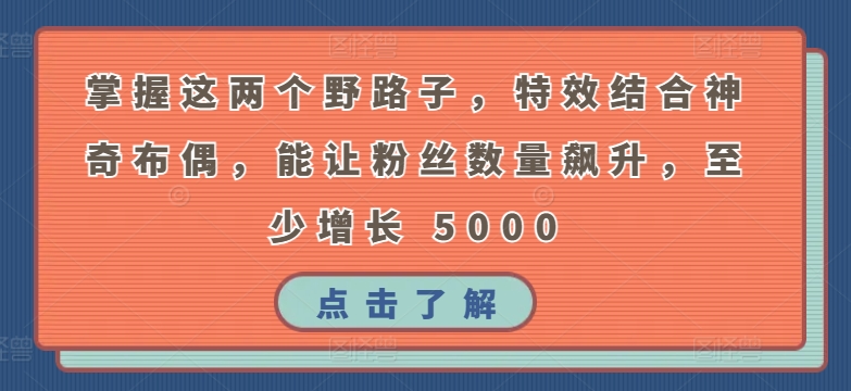 掌握这两个野路子，特效结合神奇布偶，能让粉丝数量飙升，至少增长 5000【揭秘】-电脑资源自留地
