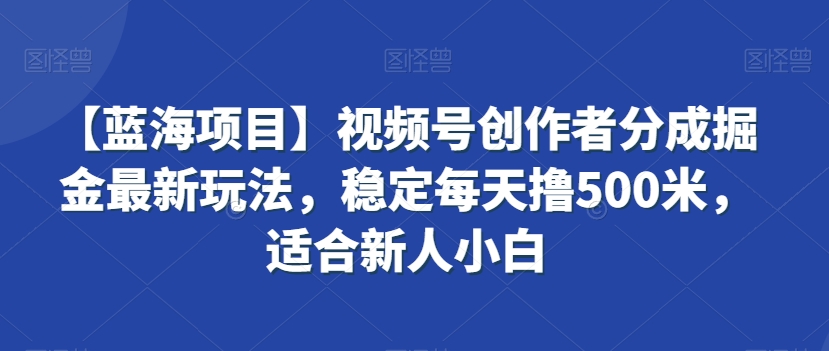 【蓝海项目】视频号创作者分成掘金最新玩法，稳定每天撸500米，适合新人小白【揭秘】-电脑资源自留地