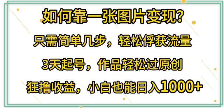 如何靠一张图片变现?只需简单几步，轻松俘获流量，3天起号，作品轻松过原创【揭秘】-电脑资源自留地