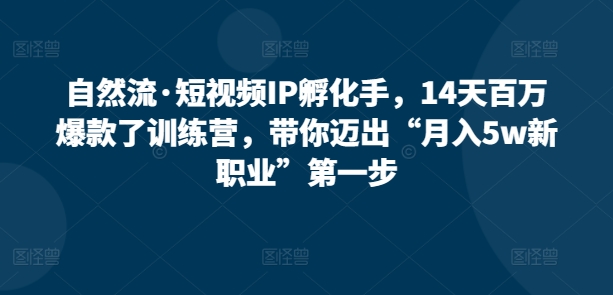 自然流·短视频IP孵化手，14天百万爆款了训练营，带你迈出“月入5w新职业”第一步-电脑资源自留地