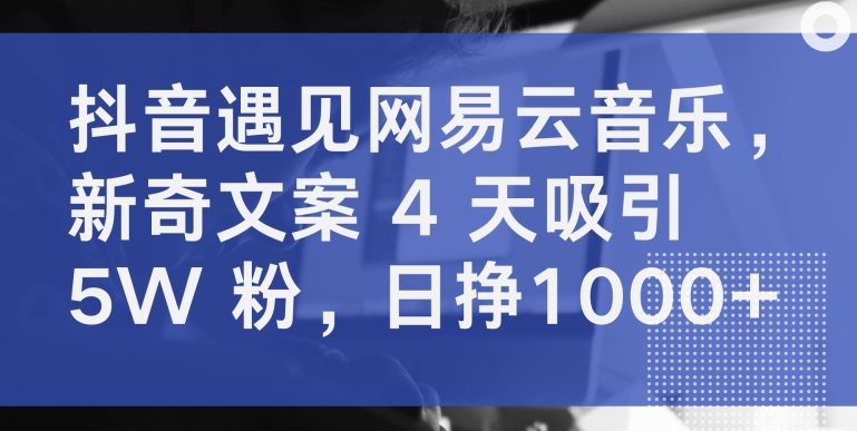 抖音遇见网易云音乐，新奇文案 4 天吸引 5W 粉，日挣1000+【揭秘】-电脑资源自留地