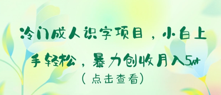 冷门成人识字项目，小白上手轻松，暴力创收月入5w+【揭秘】-电脑资源自留地