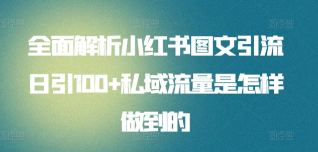 全面解析小红书图文引流日引100+私域流量是怎样做到的【揭秘】-电脑资源自留地