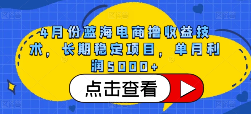4月份蓝海电商撸收益技术，长期稳定项目，单月利润5000+【揭秘】-电脑资源自留地