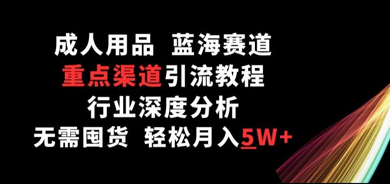 成人用品，蓝海赛道，重点渠道引流教程，行业深度分析，无需囤货，轻松月入5W+【揭秘】-电脑资源自留地