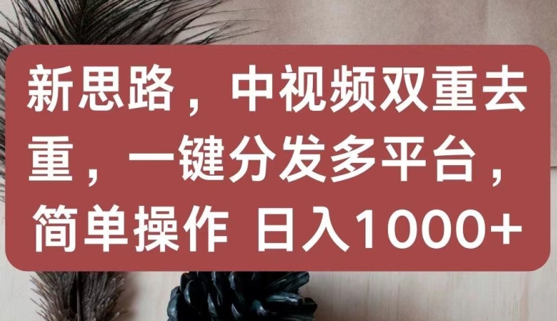 新思路，中视频双重去重，一键分发多平台，简单操作，日入1000+【揭秘】-电脑资源自留地