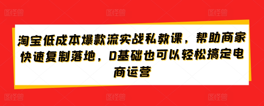 淘宝低成本爆款流实战私教课，帮助商家快速复制落地，0基础也可以轻松搞定电商运营-电脑资源自留地