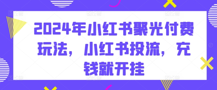 2024年小红书聚光付费玩法，小红书投流，充钱就开挂-电脑资源自留地