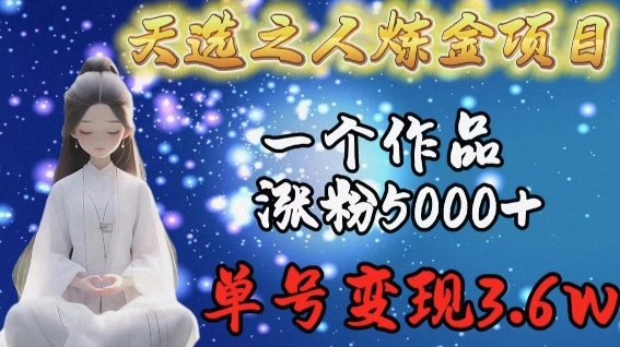 天选之人炼金项目，一个作品涨粉5000+，单号变现3.6w【揭秘】-电脑资源自留地