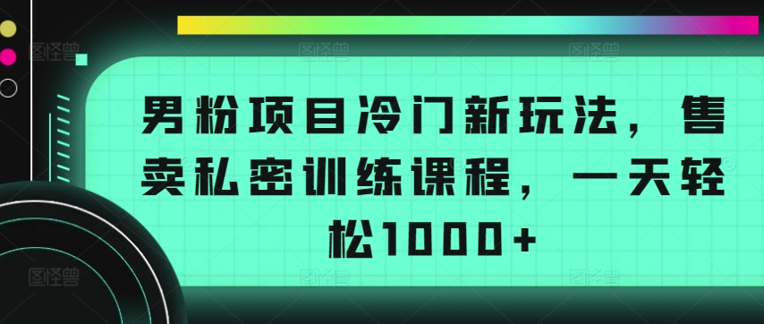 男粉项目冷门新玩法，售卖私密训练课程，一天轻松1000+【揭秘】-电脑资源自留地