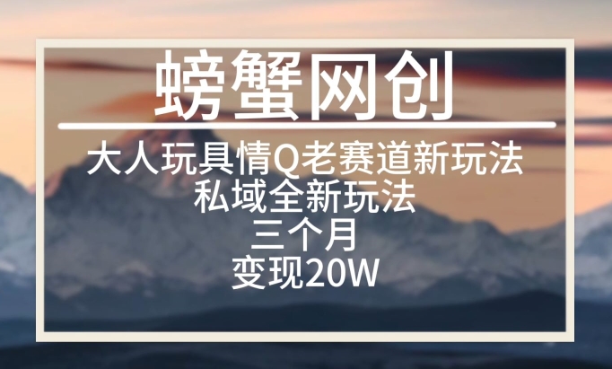 大人玩具情Q用品赛道私域全新玩法，三个月变现20W，老项目新思路【揭秘】-电脑资源自留地