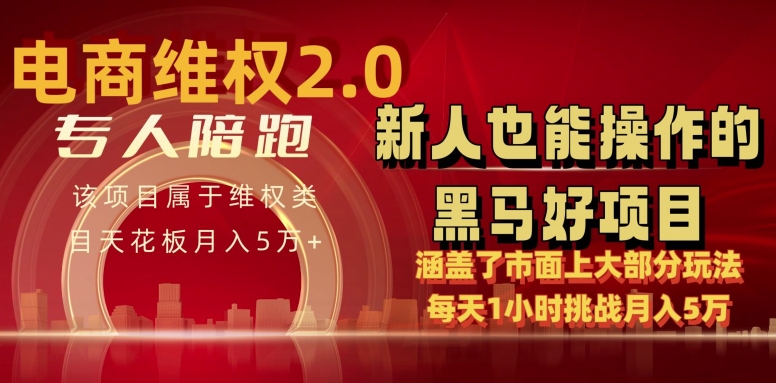 电商维权 4.0 如何做到月入 5 万+每天 1 小时新人也能快速上手【仅揭秘】-电脑资源自留地