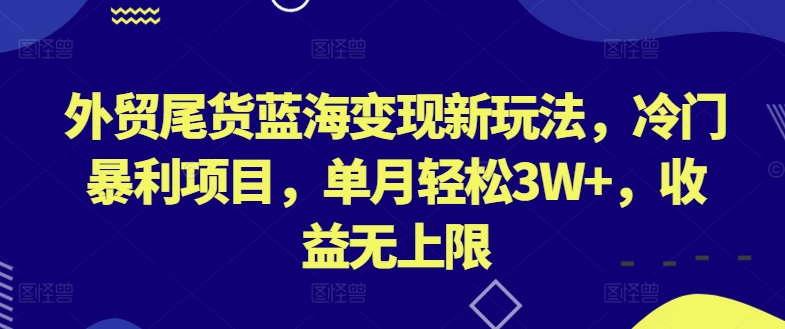 外贸尾货蓝海变现新玩法，冷门暴利项目，单月轻松3W+，收益无上限【揭秘】-电脑资源自留地