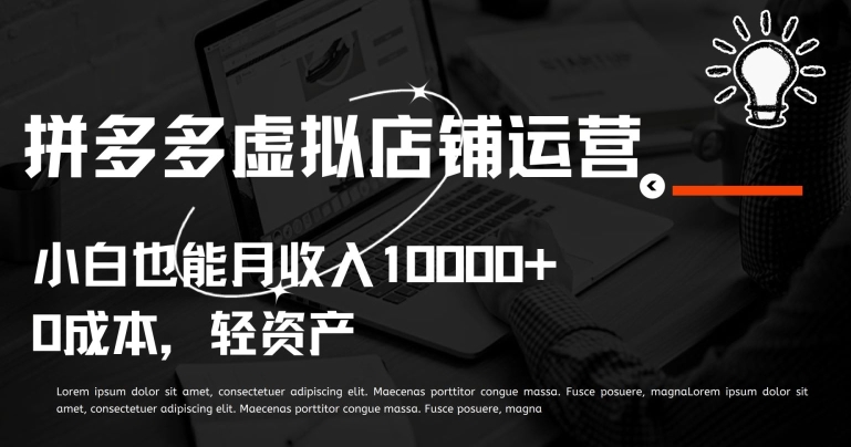 拼多多虚拟店铺运营小白也能月收入10000+【揭秘】-电脑资源自留地